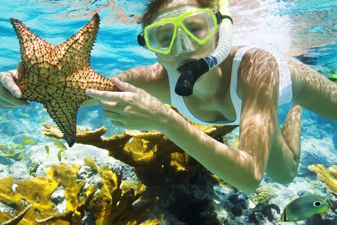 Snorkeling in the clear waters around Menjangan Island